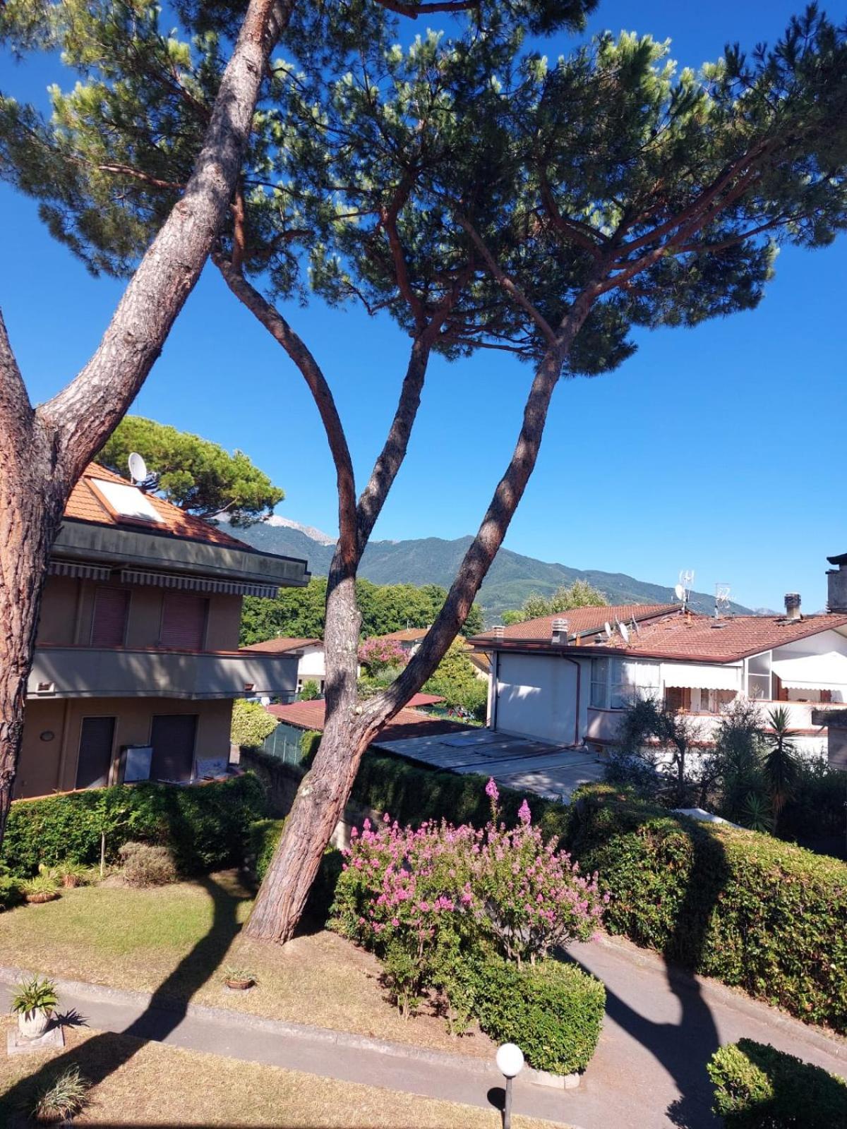Appartamento Al Mare Di Liguria E Toscana Marina di Massa Ngoại thất bức ảnh